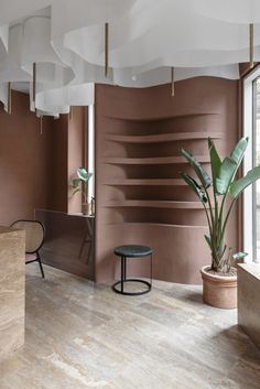 an empty room with pink walls and wooden flooring is pictured in this image, there are two chairs next to the plant