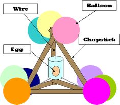 the structure of an egg with all its parts labeled in each section, including eggs and balloons