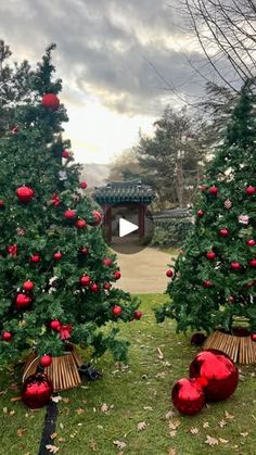 three christmas trees with red ornaments on them in front of a small building and sky