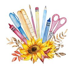 a watercolor painting of pencils, rulers and sunflower