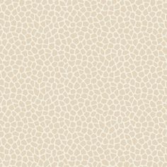 a beige and white wallpaper with an animal print pattern on the back half of it