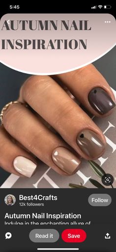 Grey And Pink Fall Nails, Autumn Gel Nails 2024, Fall Nail Colors For Fair Skin, Fall Nail Dip Designs, Fall Nail Polish Ideas, Plain Autumn Nails, Early Fall Gel Nails, Fall Nails Different Color Each Nail