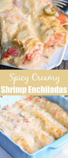 this is an image of a dish of creamy shrimp enchiladas