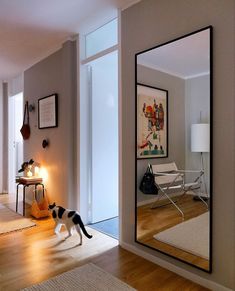 a black and white cat standing in front of a mirror on the wall next to a lamp