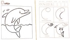 an open book with pictures of dolphins and other animals on it's pages, including one