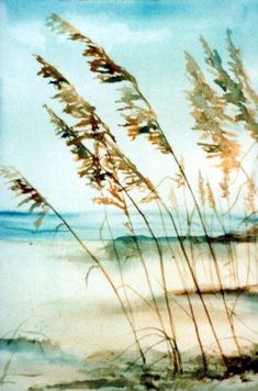 watercolor painting of sea oats blowing in the wind on a beach with blue sky