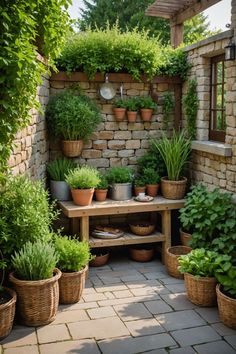 an outdoor garden area with potted plants and pots on the ground, surrounded by brick walls