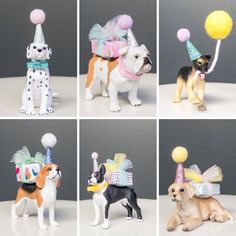 there are many small dogs with hats and balloons