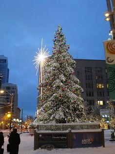 a large christmas tree in the middle of a city