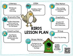 the birds lesson plan for kids