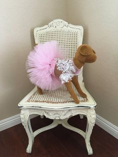 a stuffed dog in a pink tutu sitting on a chair with a ballerina skirt