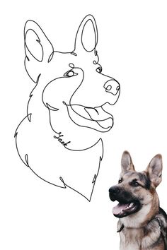 a drawing of a german shepherd dog next to a drawing of a human head