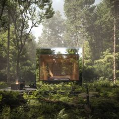 a mirror in the middle of a forest filled with trees