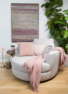 a living room filled with furniture and a large plant