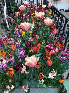 a bunch of flowers that are sitting in a planter on the side of a building