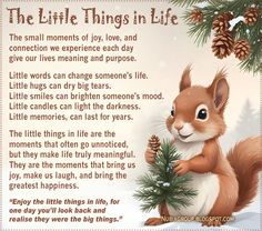 the little things in life poem is shown with a squirrel holding a christmas tree and pine cones