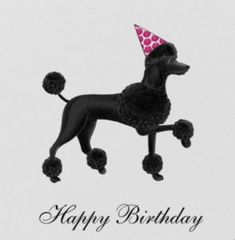 a black poodle with a party hat on it's head is standing in the air