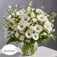 Full, Lush and Country Elegance! This is what the Sweet Joy flower arrangement is. Add a touch of elegance and tranquility to any space with our exquisite all-white flower arrangement. This stunning bouquet features a harmonious blend of daisies, fragrant freesia, and a variety of mixed garden flowers, all meticulously arranged in a chic vase. Features: Pure White Daisies: Symbolizing purity and innocence, these daisies add a classic charm to the arrangement. Fragrant Freesia: Known for their delightful scent, these freesias infuse the bouquet with a refreshing fragrance that will invigorate any room. Mixed Garden Flowers: A curated selection of garden blooms adds texture and depth, creating a rich and varied visual experience. Elegant Vase: The arrangement is beautifully displayed in a st Daisy Arrangement Ideas, Daisies Flower Arrangements, White Fake Flower Arrangements, Simple White Flower Arrangements, Daisy Flower Bouquet, Yellow And White Flower Arrangements, White Daisy Wedding Bouquet, Daisy Wedding Centerpieces, White Daisy Bouquet