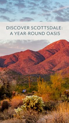 the desert with mountains in the background and text overlay that reads, discovering scottsdale a year - round oasis