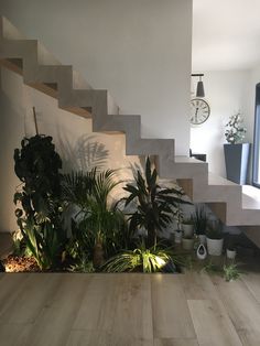 some plants are sitting on the floor in front of a set of stairs with a clock