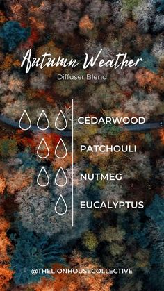 Essential Oil Perfumes Recipes, Fall Diffuser Blends, Autumn Weather, Oil Remedies