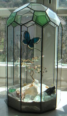 a glass display case with rocks and plants in it next to a window sill