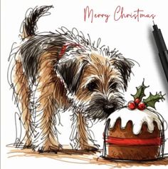 a dog is looking at a cake with holly on it and the words merry christmas written in