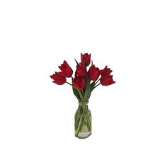 red flowers in a glass vase on a white background