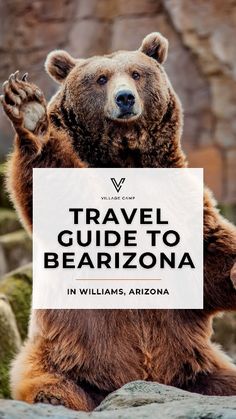 a brown bear holding up a sign with the words travel guide to bearizna in williams, arizona