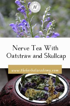 a tea pot filled with purple flowers and green leaves next to the words never tea with oatstraw and skullcap