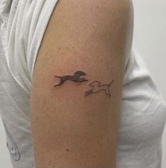 a woman with a tattoo on her arm that has a dog and cat flying in the air