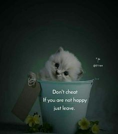 a white kitten sitting in a bucket with a tag on it's side and the caption don't treat if you are not happy just leave