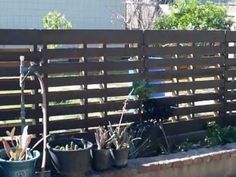 several potted plants in front of a wooden slatted fence with water spigots