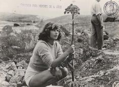 an old black and white photo of a woman sitting on the ground next to a tree