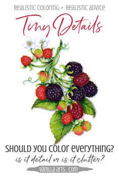 a poster with berries, raspberries and other fruits on it that says tiny details should you color everything?