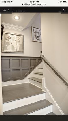 the stairs in this house have been painted white and gray with black trimmings