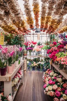 the inside of a flower shop filled with lots of flowers