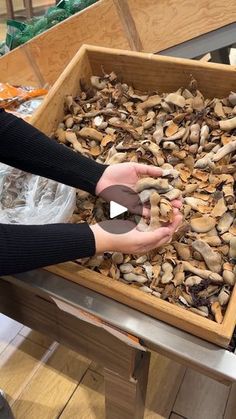 two hands reaching for mushrooms in a wooden box