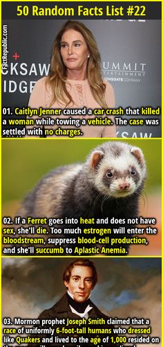 the different types of ferrets are shown in this graphic above it's caption