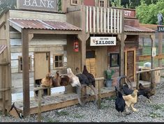 several chickens and roosters are standing in front of a small building with a bank sign on the roof