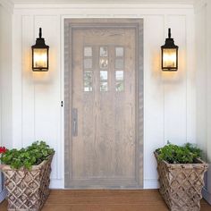 two planters with plants in front of a wooden door on a white wall and wood floor