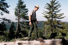 a man standing on top of a log in the woods