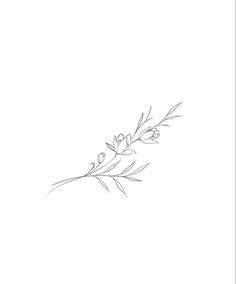 a line drawing of flowers on a white background