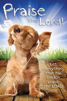 a dog with ear buds in its mouth and the words praise the lord on it