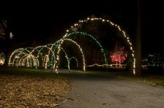 lighted archways in the middle of a park at night