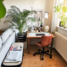 a living room filled with furniture and a plant on top of a wooden table in front of a window