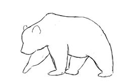 a drawing of a bear that is standing on one leg and looking down at the ground