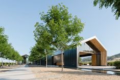 an empty street lined with trees next to a building and some benches on the side