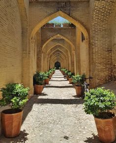 an arched walkway lined with potted plants