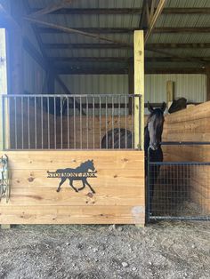 two horses are standing in their stalls at the stable, one is black and the other is brown